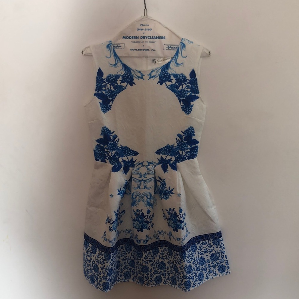 blue and white dress